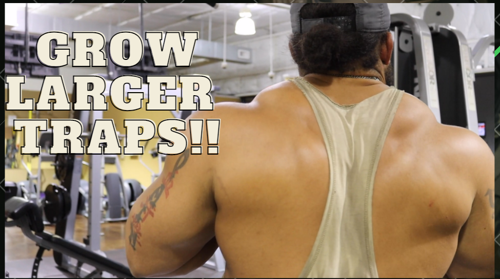 Grow BIGGER traps with these 3 Exercises!